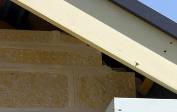 soffit repair Diss